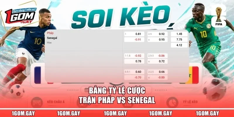 Bảng tỷ lệ cược trận Pháp vs Senegal